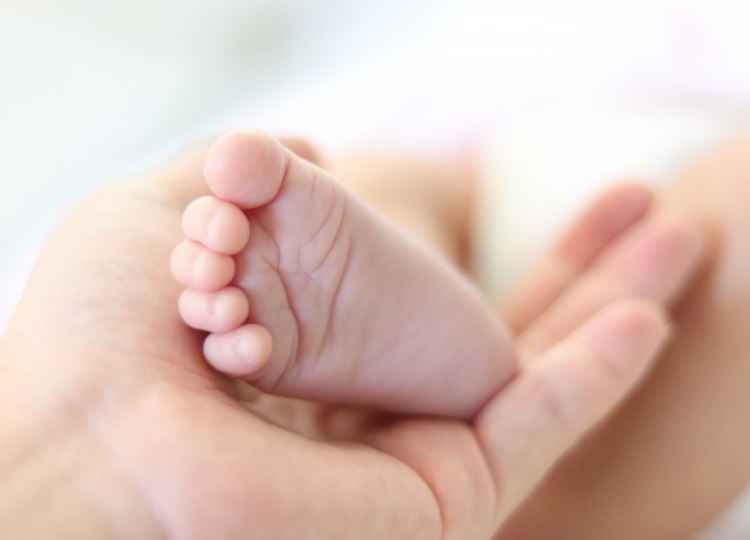 高森レディスクリニックの画像